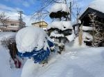 毎日雪掻き＞＜｜「大麻フラワー」　（北海道江別市の花キューピット加盟店 花屋）のブログ