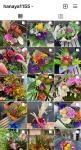 Instagram｜「大麻フラワー」　（北海道江別市の花キューピット加盟店 花屋）のブログ